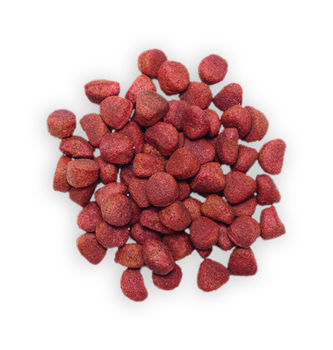 Dog Food 4 Dog Food 4